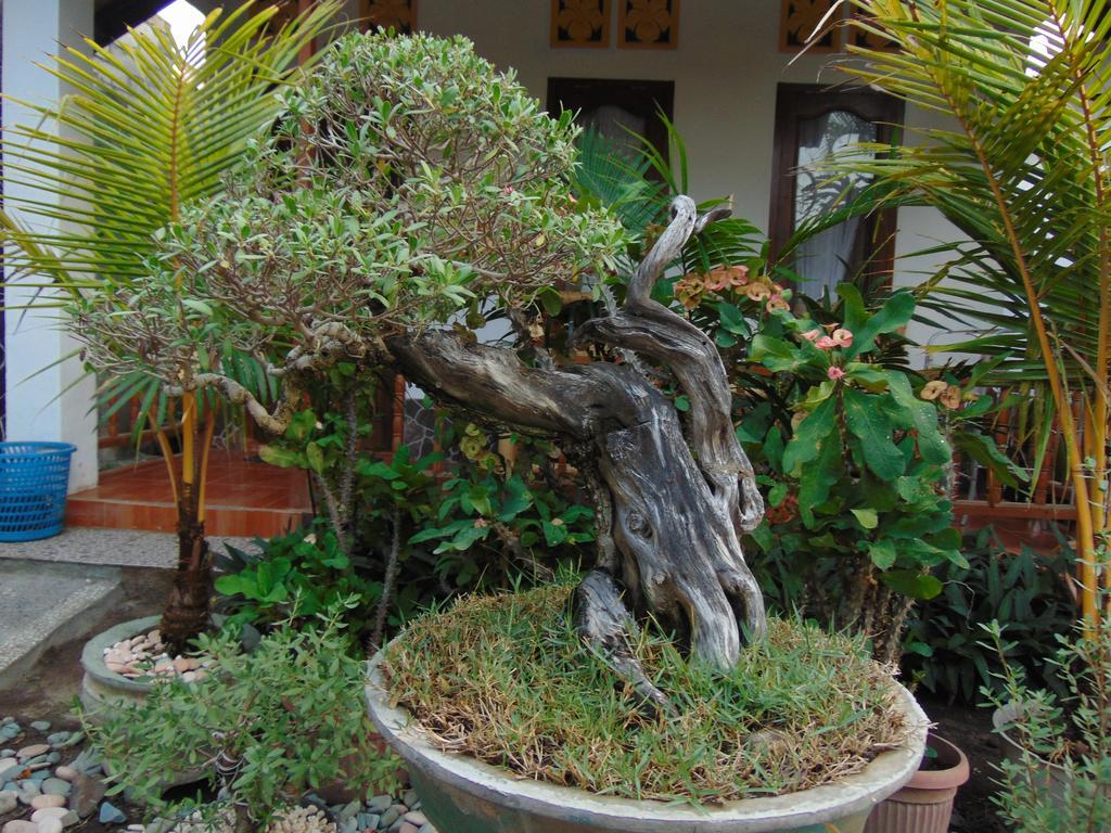 Santigi Homestay Gili Air Exterior photo